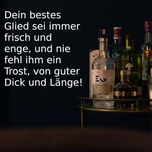 Die besten und lustigsten Trinksprüche auf Lustige Party Sprüche