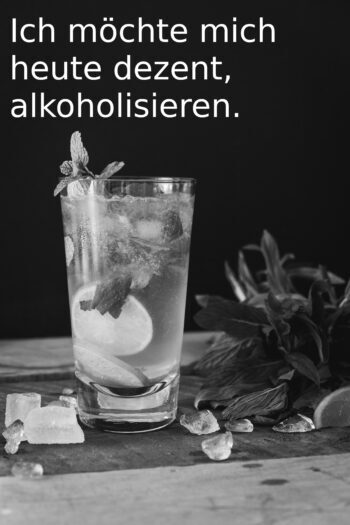 Lustiger Trinkspruch - Ich möchte mich heute dezent alkoholiseren. - Trinksprüche - party-sprüche.de