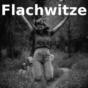 Flachwitze - party-sprüche.de - Witze die einfach flach sind - Logo für Flachwitze
