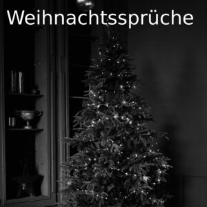 Weihnachtssprüche - party-sprüche.de - Christmas Wishs - Weihnachtswünsche